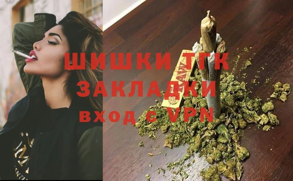 ECSTASY Вяземский